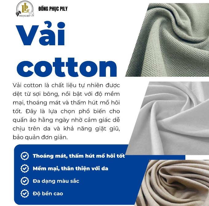 Thông tin về vải cotton được PILY giới thiệu