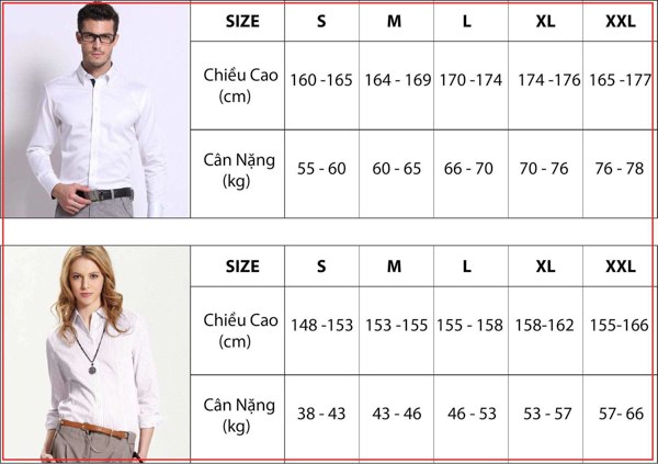 Bảng size áo polo do PILY đăng tải